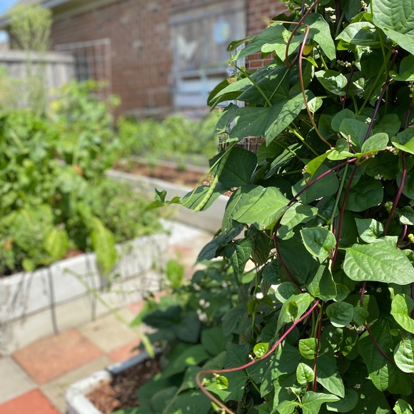 Meet your Posher, Gypsie - Picture 12 of 16